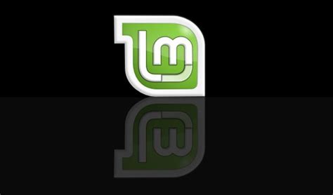 Как установить Linux Mint 19.3: пошаговая инструкция для новичков