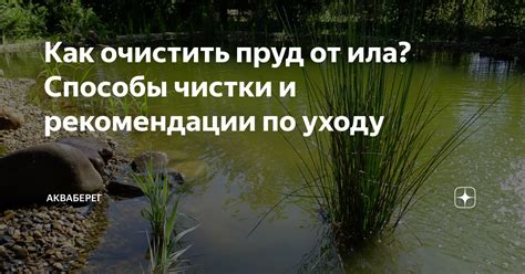 Как эффективно очистить эндометрий: советы и рекомендации