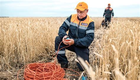 Как эхолокация помогает животным охотиться