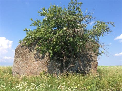 Камень придающий прочность