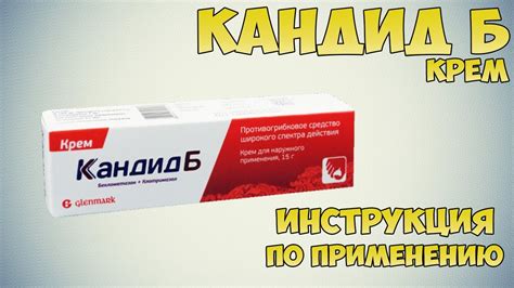 Кандид против кандид б: различия и особенности