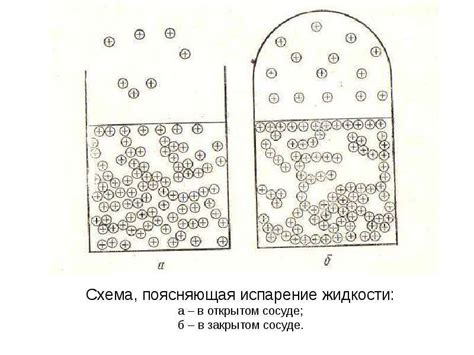 Капиллярное действие: объяснение подъема жидкости