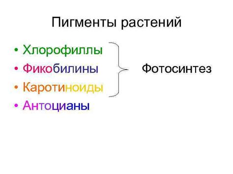 Каротиноиды и антоцианы