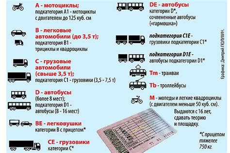 Категория tm водительских прав: особенности и требования