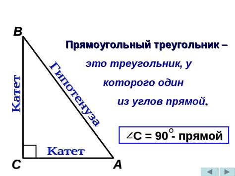 Катет и его роль в геометрии