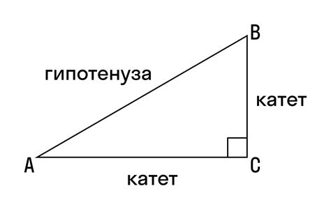 Катет прямоугольного треугольника и его свойства