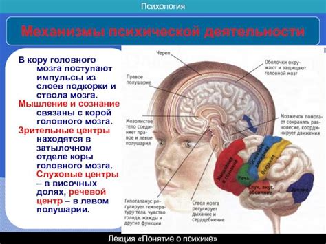 Кистозный компонент в мозге