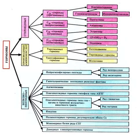 Классификация гормонов: йодсодержащие и стероидные