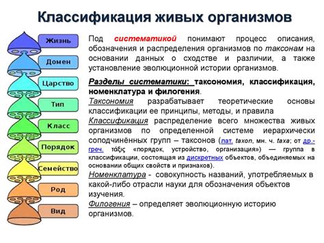 Классификация организмов в биологии