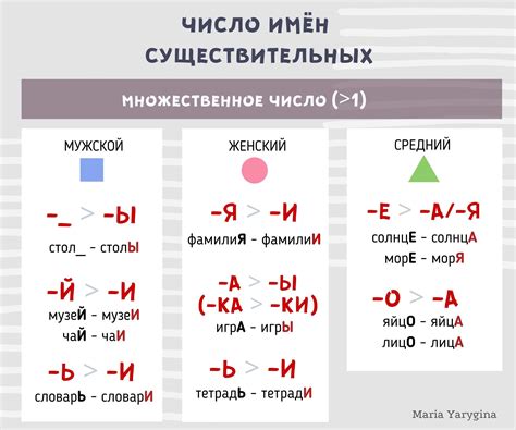 Классификация существительных в русском языке