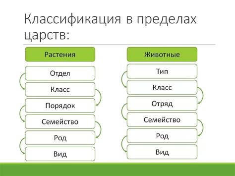 Классы классификации в биологии