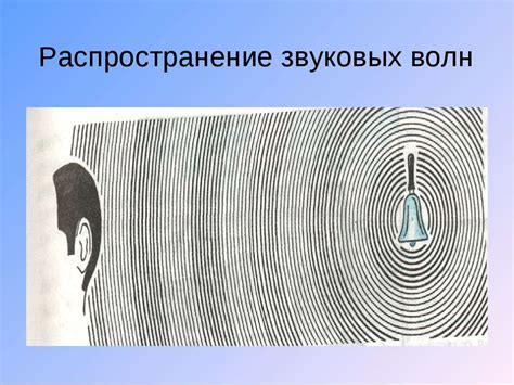 Клетчатые каналы и сенсорные волоски: как ухо переправляет звуковые волны