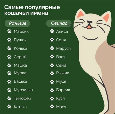 Кличка кота и религиозные обычаи