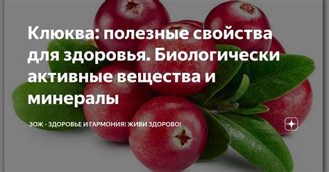 Клюква - полезные свойства для детского здоровья