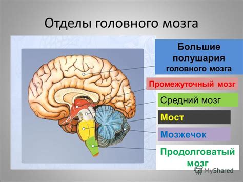 Ключевые признаки проблем с головным мозгом