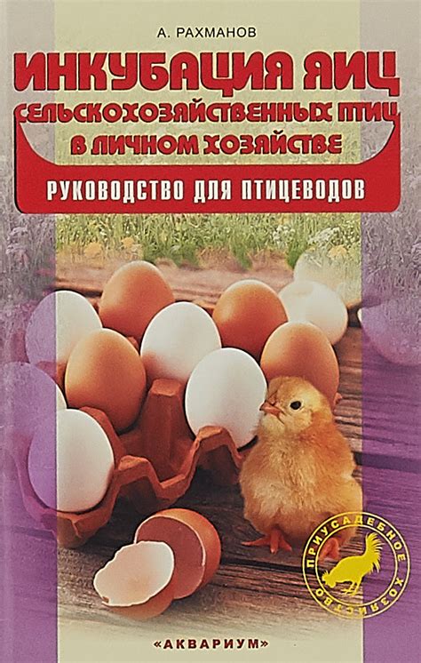 Когда наступает период несения яиц у кур: рекомендации для птицеводов