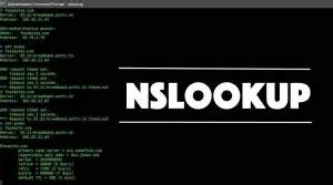 Команда nslookup для определения имени хоста на Linux