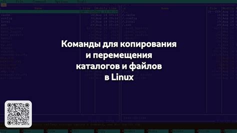 Команды копирования файлов и директорий