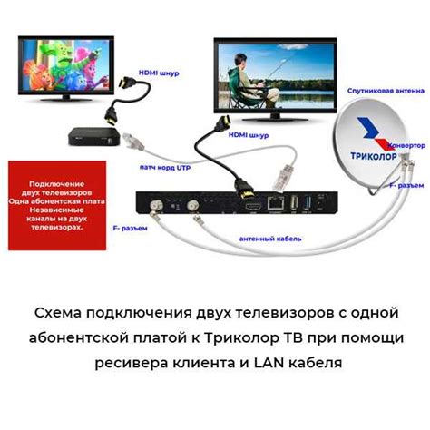 Комплексный гид по подключению и зарядке iPad через компьютер