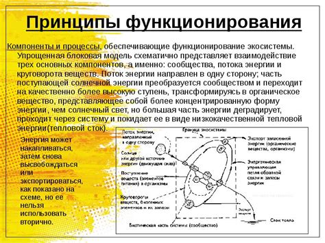 Компоненты и устройства, обеспечивающие функционирование техники