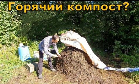 Компостирование остатков культур