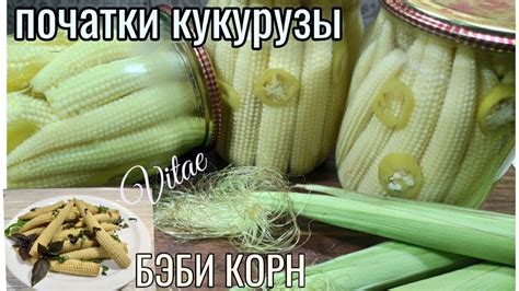 Консервированные початки кукурузы в собственном соку