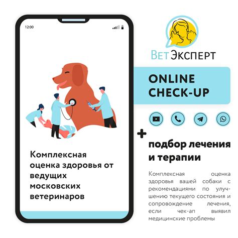 Консультация с ветеринарным врачом