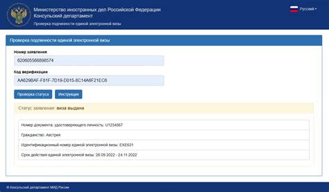 Консультация с юристом для проверки электронной визы