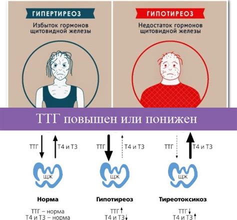 Контроль уровня гормонов и щитовидной железы