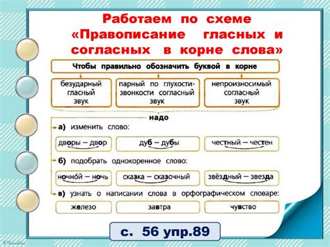 Корень: взаимосвязь гласных и согласных для построения слова