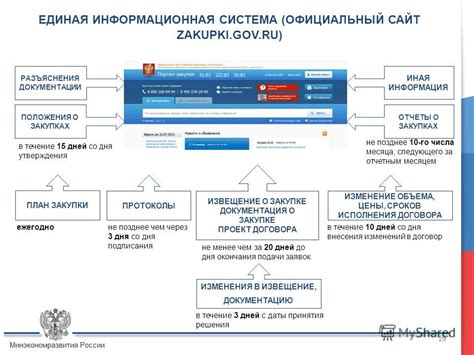 Корректировка данных в ЕИС по 223 ФЗ: подробное руководство