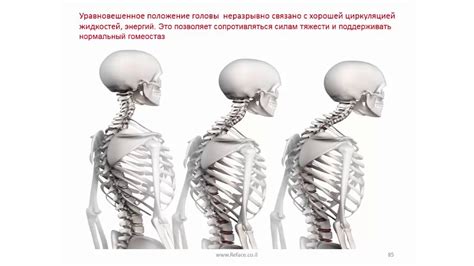 Коррекция осанки: правильное положение головы