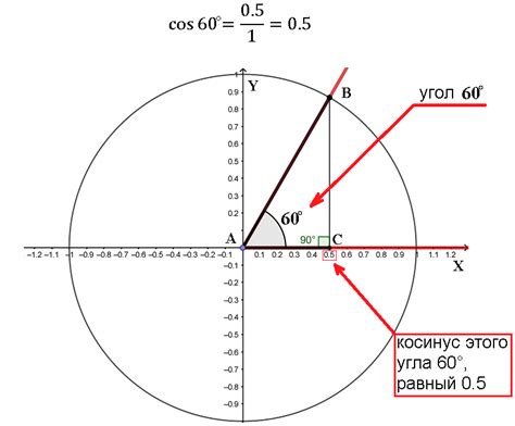 Косинус в тригонометрической окружности