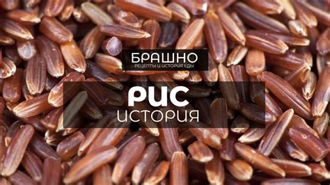 Краб международных кухонь: где и как его готовят по всему миру