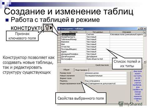 Краткий обзор основного поля в Access