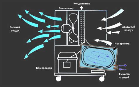 Краткое описание принципа работы ротора двигателя