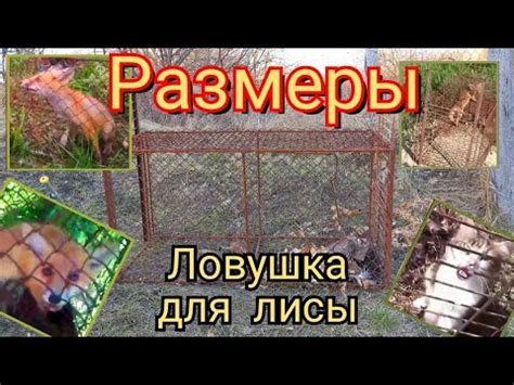 Крафтинг специальной ловушки для лисы