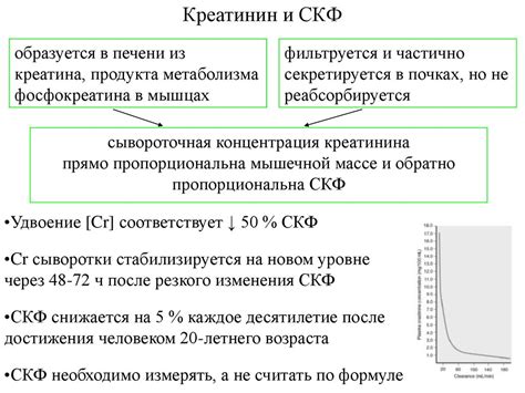 Креатинин - повреждение почек