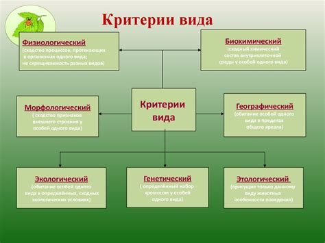 Критерии выбора внешнего вида