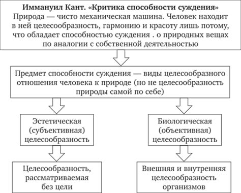 Критика способности суждения