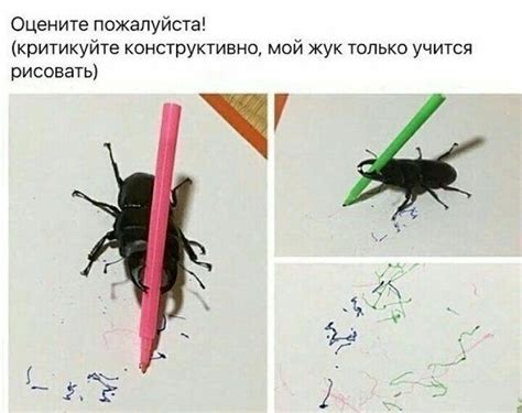 Критикуйте конструктивно