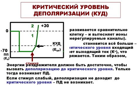 Критический уровень деполяризации клеточной мембраны: