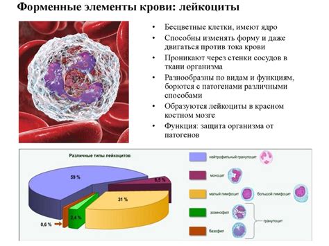 Кровь и ее состав