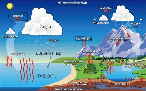 Круговорот воды: причины и особенности