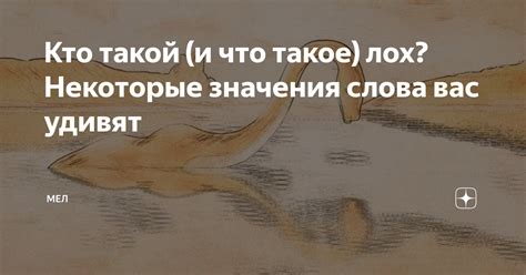 Кто такой Сую Бишоп