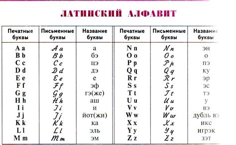 Латинские буквы Щ и Щь: от чего зависит и как это влияет на результаты