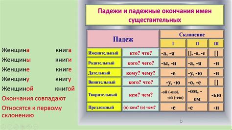 Латынь и латинский язык: сходства и отличия