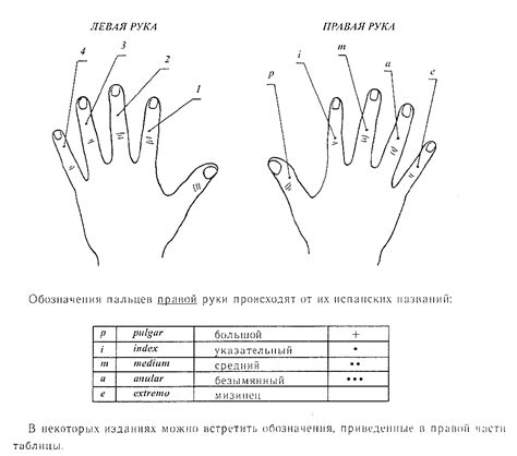 Левая и правая рука в сновидениях: отличие и их разное значение