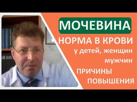 Лечение повышенного уровня креатинина в крови