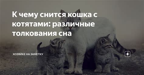 Лижущая кошка: различные толкования